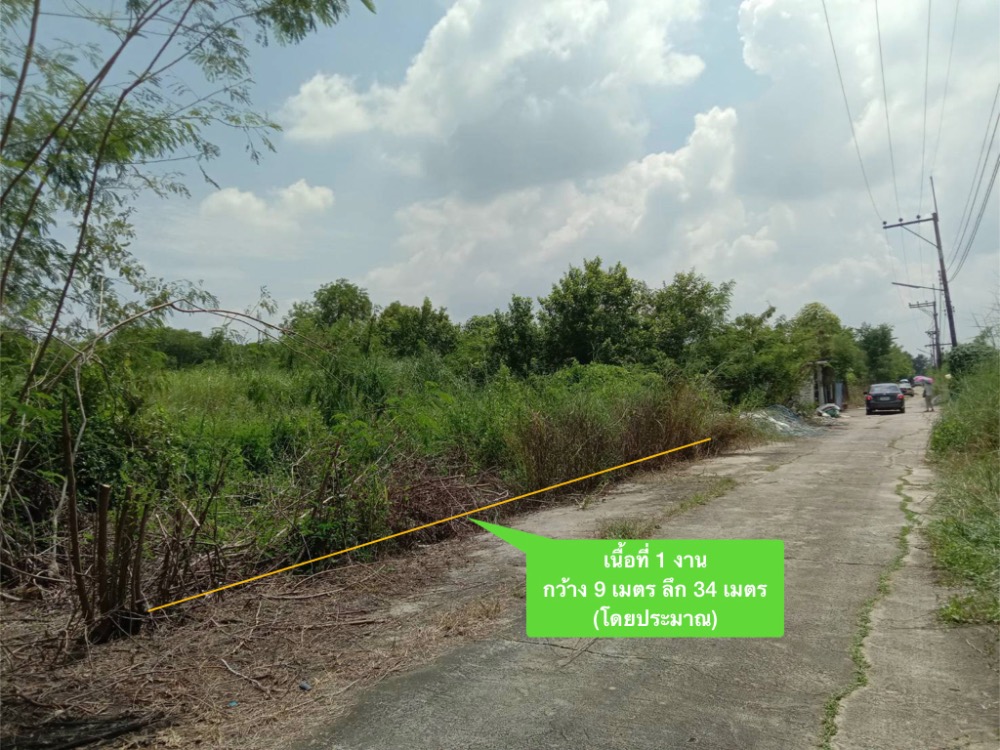 For SaleLandPathum Thani,Rangsit, Thammasat : Land for sale, 100 square wah, Nong Suea, Pathum Thani