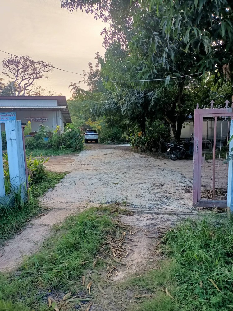 For SaleLandUbon Ratchathani : Beautiful land plot for sale, suitable for investment, Ban Pla Duk, Rai Noi Subdistrict, Ubon Ratchathani (N.797)