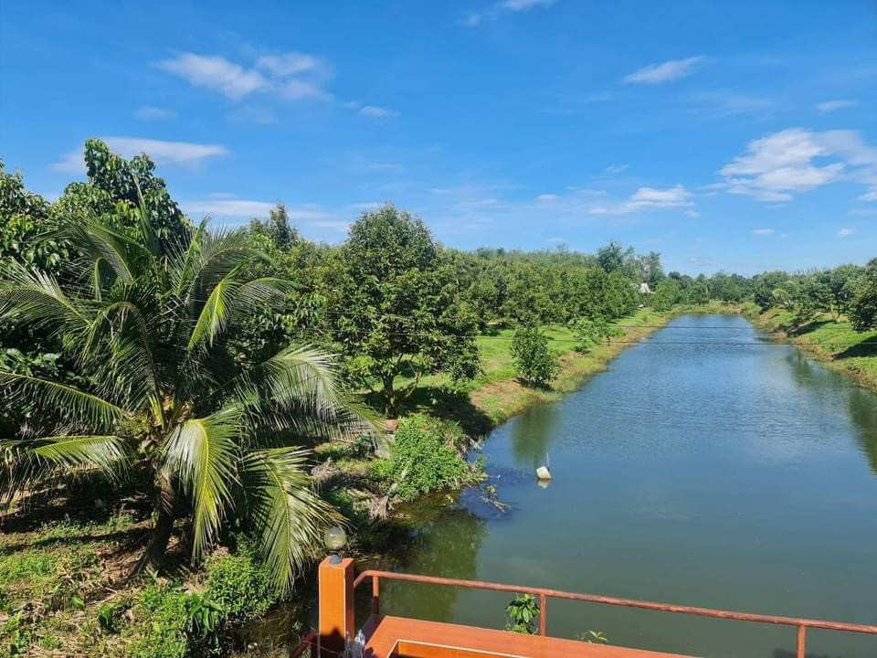 For SaleLandRayong : Land for sale, durian orchard, with buildings, 25 rai, on asphalt road, convenient travel, behind Mongkol Temple, Tung Kwai Kin Subdistrict, Klaeng District, Rayong Province