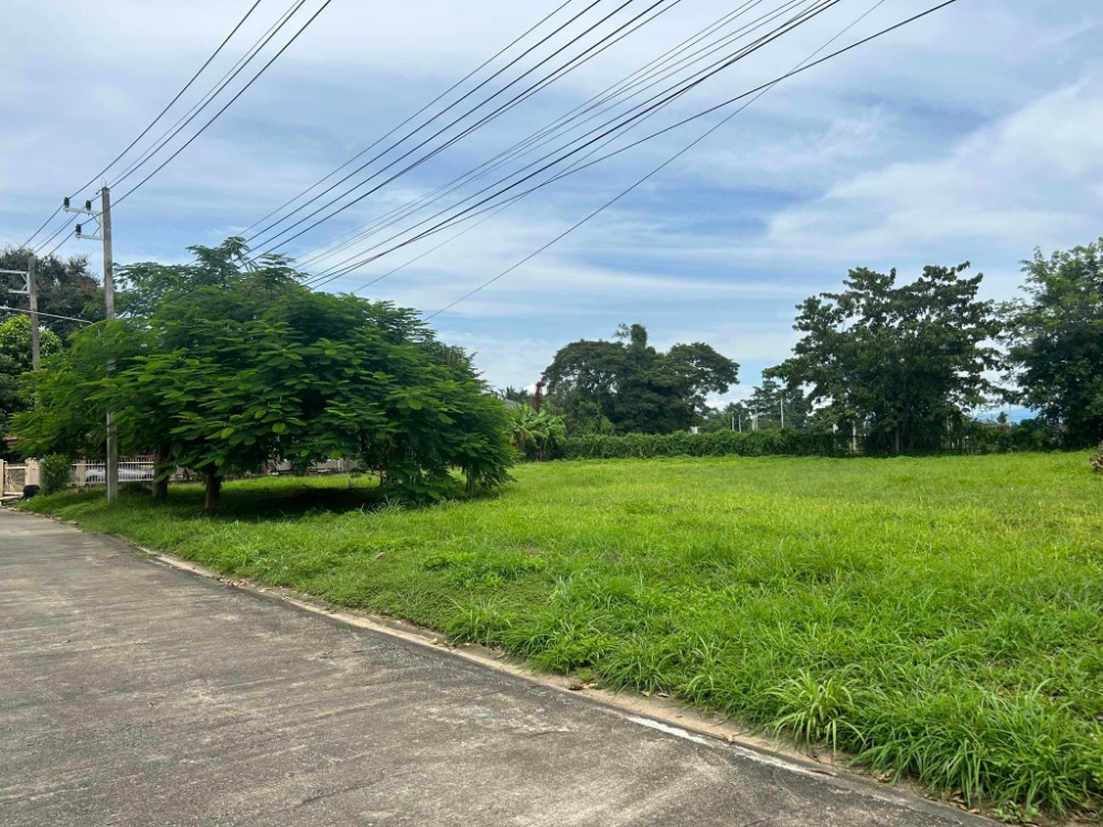 For SaleLandChiang Mai : Land for sale, Flora Ville Village, Chiang Mai, about 15 minutes from Central Chiang Mai. Call 082-3899314 (Boo)