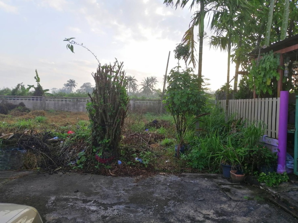 For SaleLandPattaya, Bangsaen, Chonburi : Land for warehouses, negotiable price! Land for sale, 107 sq.w., next to J&J yard, Laem Chabang, Sriracha, Bang Lamung, Chonburi