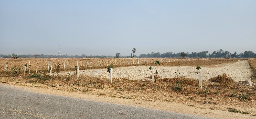 For SaleLandCha-am Phetchaburi : Urgent! Land for sale, 7 rai 3 ngan, partially filled, Nang Yang Subdistrict, Cha-am District, Phetchaburi Province.