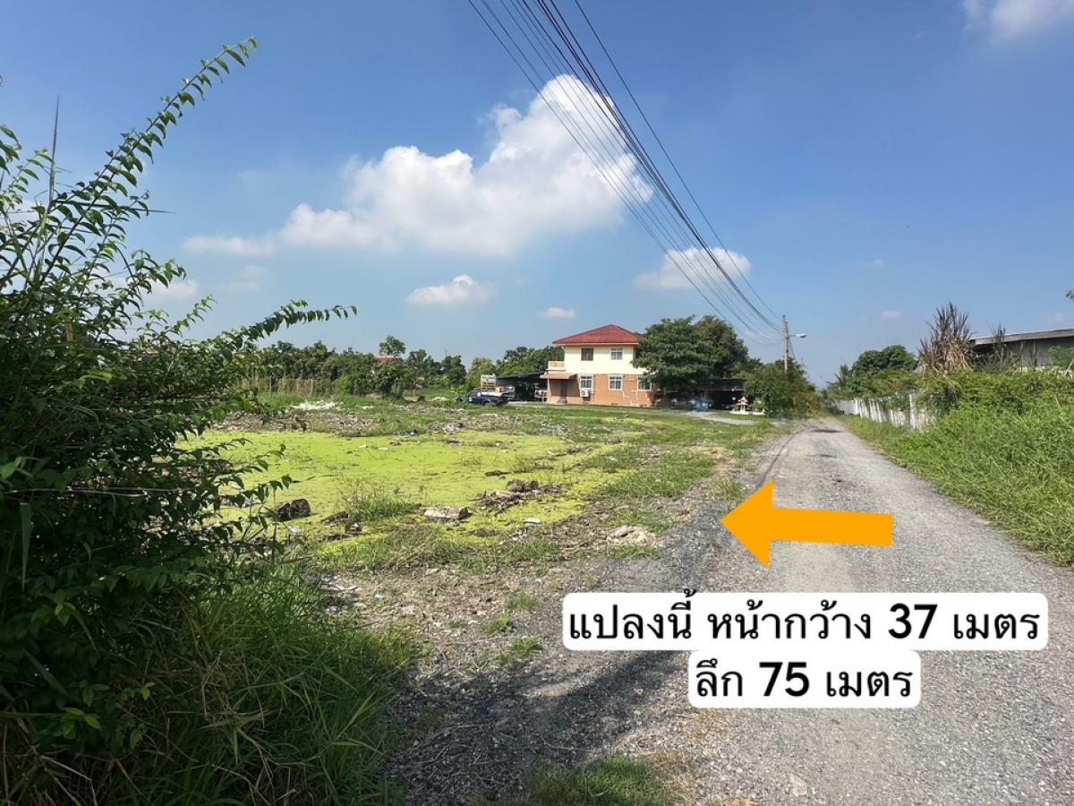 For SaleLandNawamin, Ramindra : Near Sai Mai, 766 square meters, 22 million baht