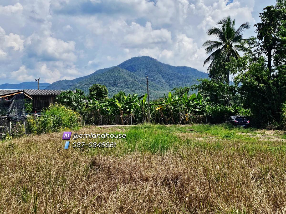 For SaleLandChiang Mai : Beautiful mountain view land, San Kamphaeng District, title deed 320 sq m., near Mae On Hospital 1.5 km., 25 km into the city. Land has been filled, has water and electricity, in the middle of the community, has shops, not isolated.