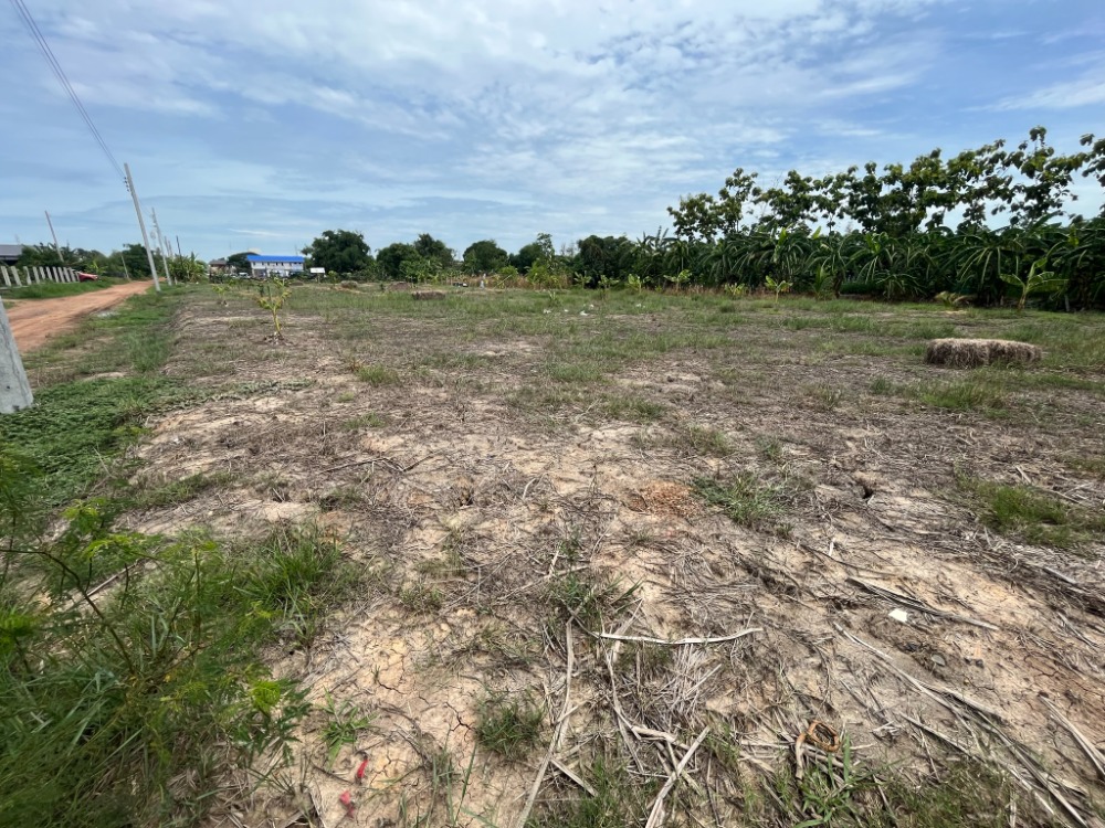 For SaleLandMin Buri, Romklao : Land for sale, near Prachasamran Police Station, 1-2-41 rai, filled in, inside the alley, 5 minutes from Nong Chok Market.