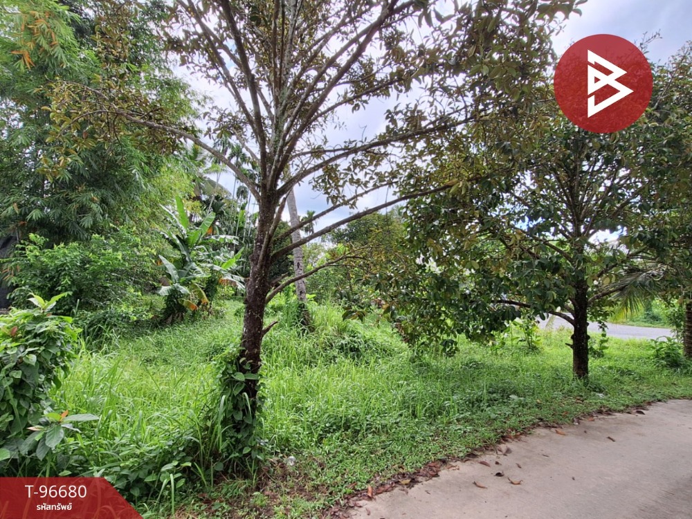 For SaleLandNakhon Si Thammarat : Urgent sale of vacant land, area 1 ngan 59.9 sq.wa, Pho Sadet, Nakhon Si Thammarat