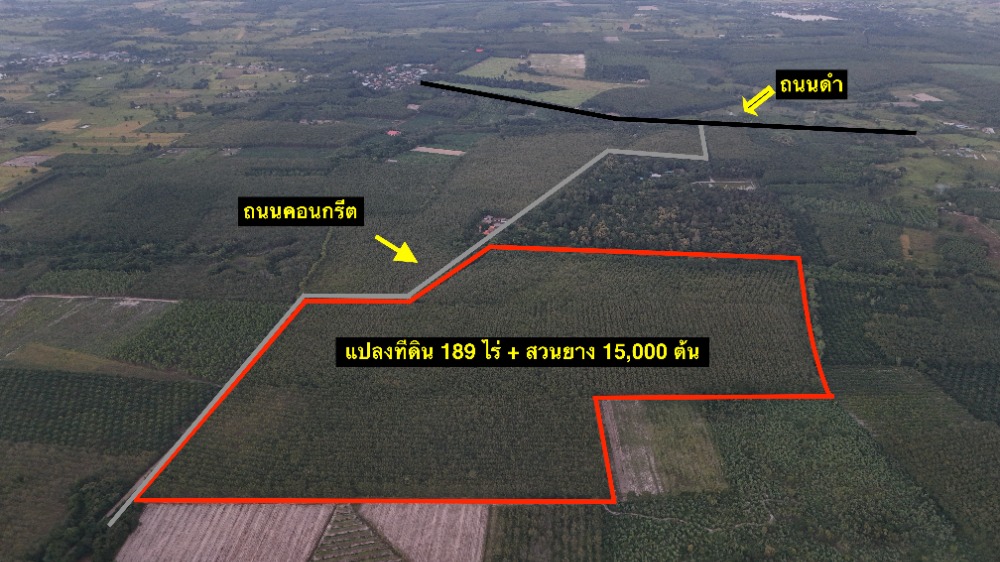 For SaleLandUdon Thani : 🔥Urgent sale, very good price 🔥 189 rai of land with rubber trees planted (15,000 trees), black road + cement road, rubber trees are only 9 years old, red Garuda title deed, Udon Thani, Ban Dung