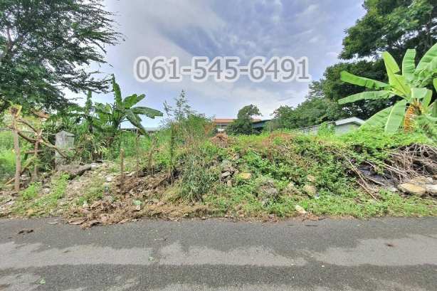 For SaleLandNawamin, Ramindra : Land for sale, 84 sq.w. and 64 sq.w., Soi Nawamin 42, Intersection 25, good location, very good value.