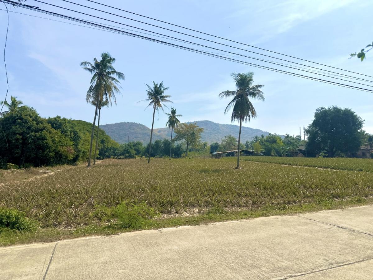 For SaleLandHuahin, Prachuap Khiri Khan, Pran Buri : Land for sale, mountain view, near the sea, area 6-3-51.3 rai, on two sides of the road, Pran Buri Subdistrict, Pran Buri District, Prachuap Khiri Khan Province