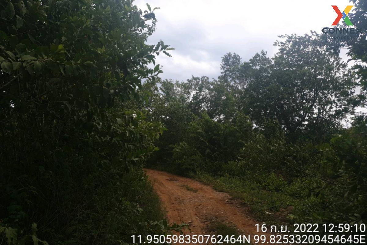 For SaleLandHuahin, Prachuap Khiri Khan, Pran Buri : For Sale Vacant land, Prachuap Khiri Khan Province, 1 plot , Bo Nok , Mueang Prachuap Khiri Khan , Prachuap Khiri Khan , CX-108771