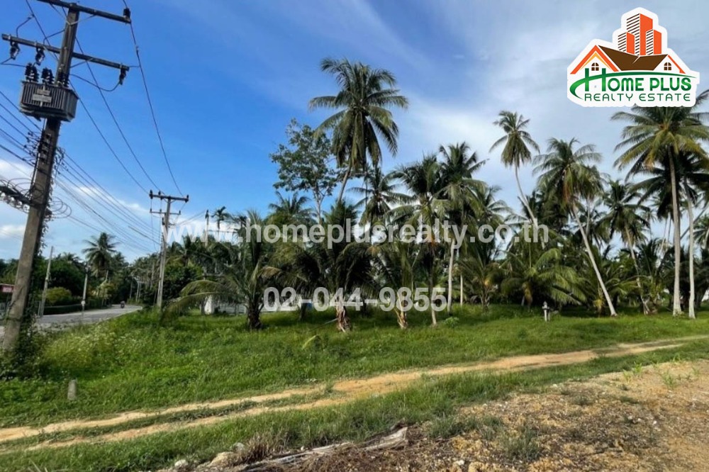 For SaleLandHuahin, Prachuap Khiri Khan, Pran Buri : Land with coconut plantation near Ban Krut Beach, Bang Saphan, Prachuap Khiri Khan, area 3 rai 7 square wa