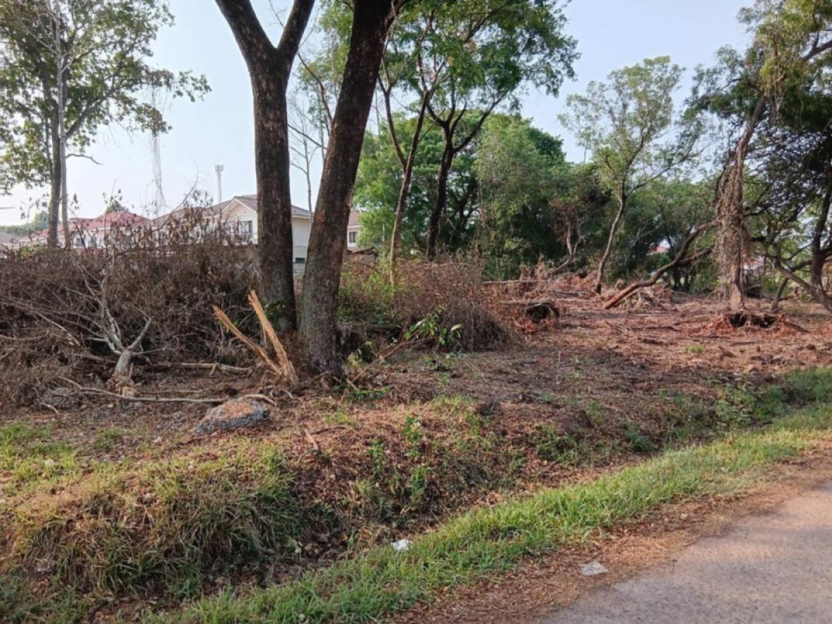 For RentLandKhon Kaen : ❤️❤️For rent/sale of land, KKU, near Base Home Village, Khon Kaen University, near KKU, near Base Home Village, KKU, suitable for building a house, making a warehouse, making a garden house, coffee shop, restaurant, size 301 sq m, rent the whole plot 40,0