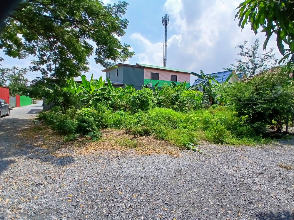 For SaleLandNonthaburi, Bang Yai, Bangbuathong : Land for sale, Bang Bua Thong