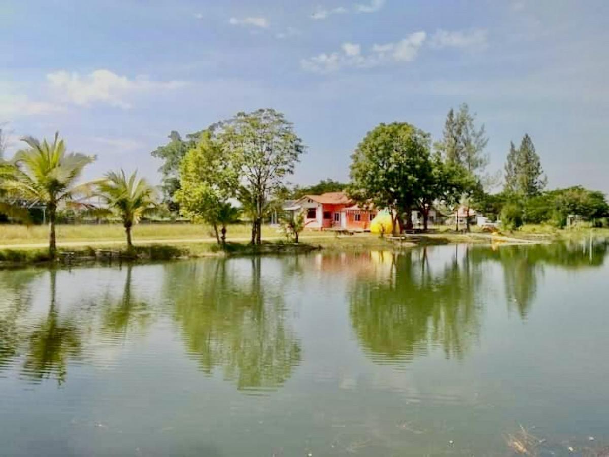 For SaleLandKorat Nakhon Ratchasima : Land for sale with buildings, area 9-1-30.4 rai, Ban Dan Khuntod-Ban Nong Waeng Road, Dan Khuntod District, Nakhon Ratchasima Province