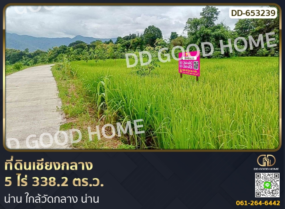 ขายที่ดินน่าน : ที่ดินเชียงกลาง 5 ไร่ 338.2 ตร.ว. น่าน ใกล้วัดกลาง น่าน