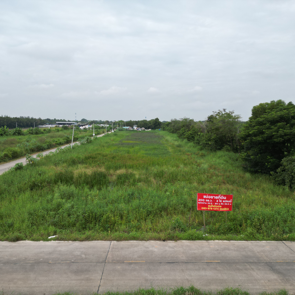 ขายที่ดินปทุมธานี รังสิต ธรรมศาสตร์ : 📣 ขายที่ดิน 200 ตร.ว. - 1 ไร่ คลอง 3 คลองหลวง ซอย คลองสาม 11/8 (ซ.เนียมหอม) ใกล้ตลาดไท ติดคลองแอน ❗🔥