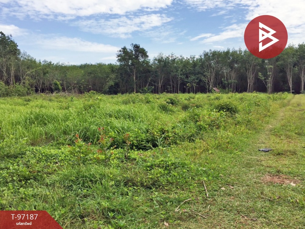 For SaleLandNakhon Si Thammarat : Land for sale, area 7 rai 2 ngan 17 square wa, Chulabhorn, Nakhon Si Thammarat