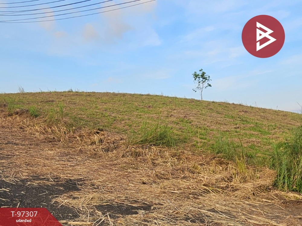 For SaleLandPhetchabun : Land for sale, area 2 ngan 13.8 sq.wa, Khao Kho, Phetchabun