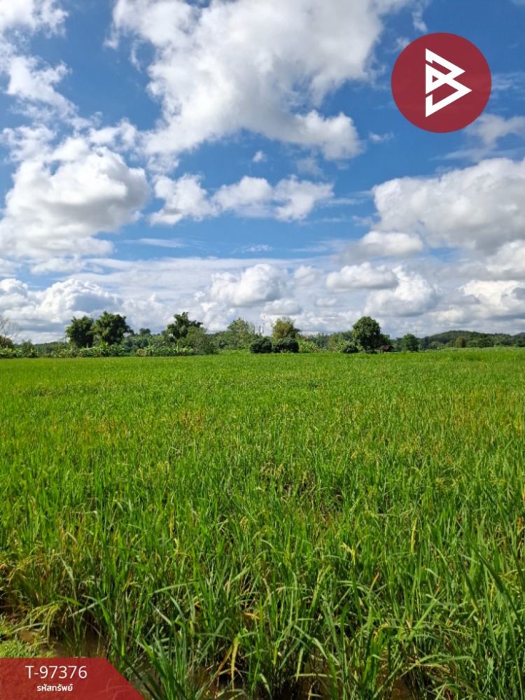 For SaleLandChiang Rai : Land for sale, area 4 rai 3 ngan 30 sq m, Thoeng, Chiang Rai