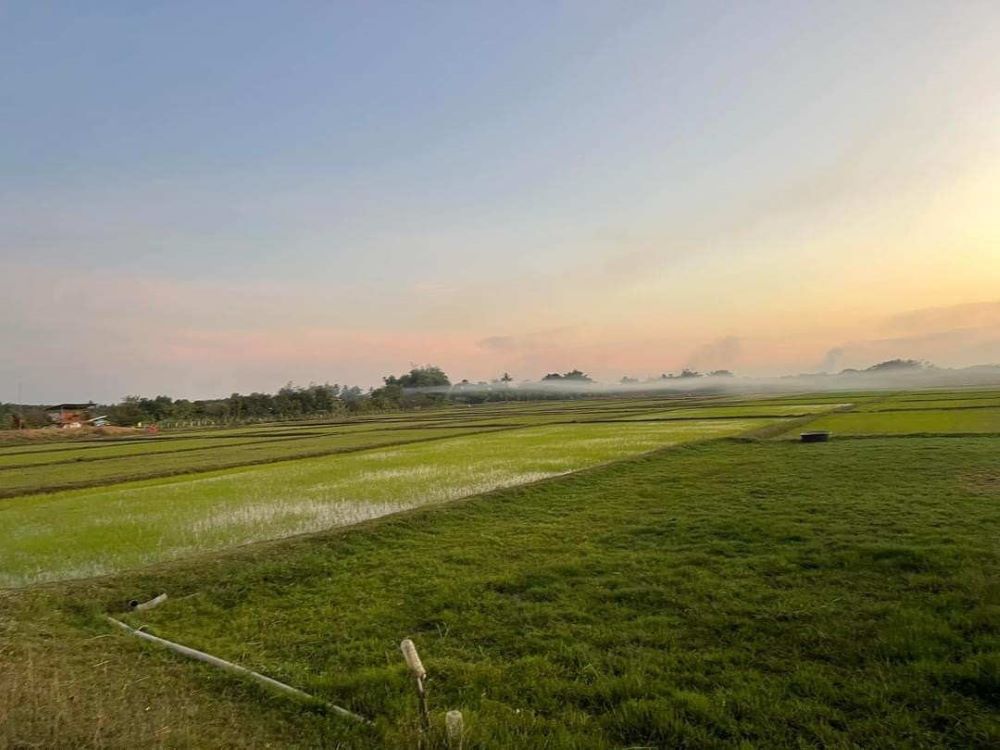 For SaleLandNong Khai : For sale: 28 rai of rice field, plus an additional 2 rai of land along the canal, next to a canal, suitable for further rice farming for profit, Ban Thon, Tha Bo District, Nong Khai Province (Owner selling)