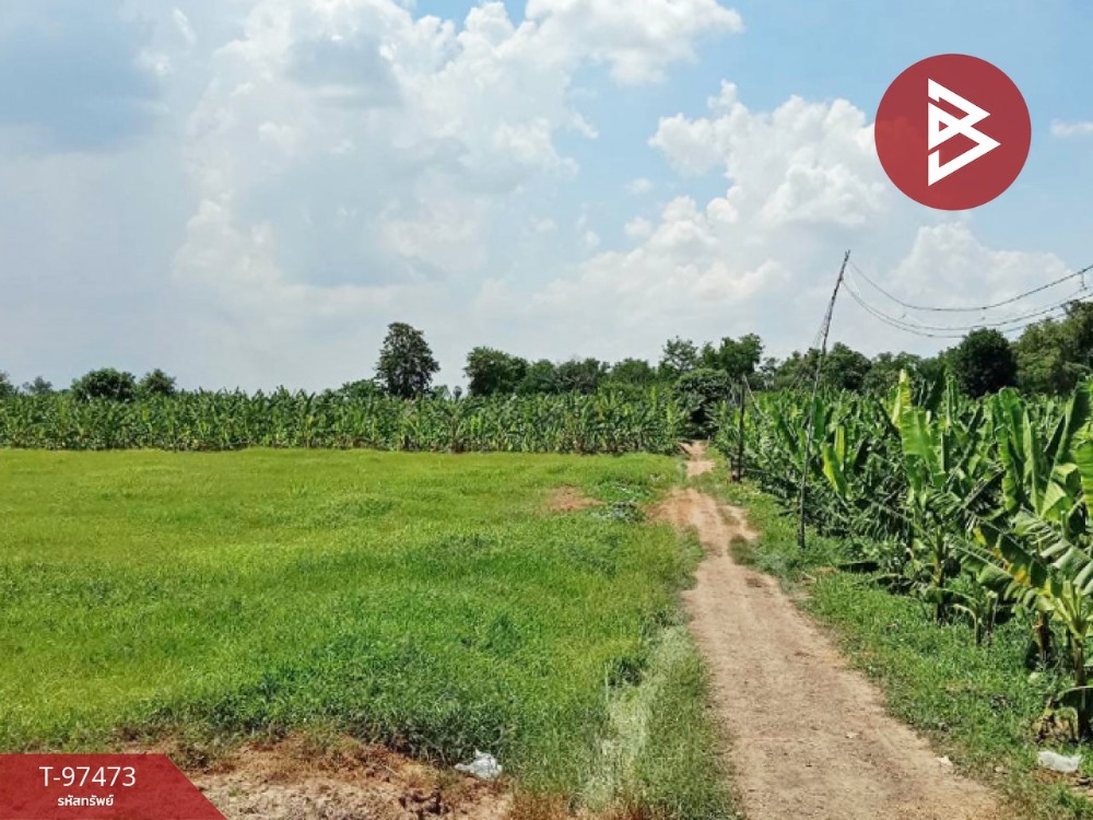 For SaleLandNakhon Sawan : Urgent sale, vacant land, area 20 rai 6 sq w, Takhian Luean, Nakhon Sawan