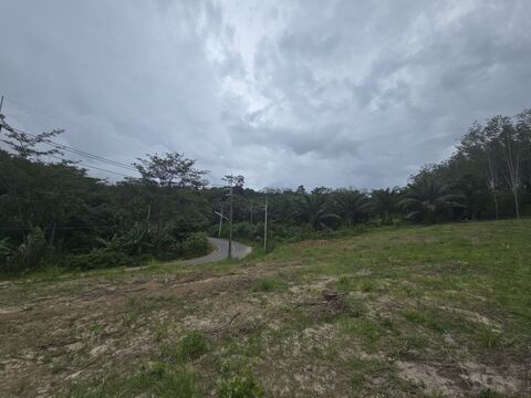 For SaleLandPhangnga : LAND FOR SALE 9 Rai in Phang-Nga Land for sale 9 rai 1 ngan 19 sq m. (NS.3 Kor.) Khlong Khian Subdistrict, Phang-Nga, near the sea 1 km.