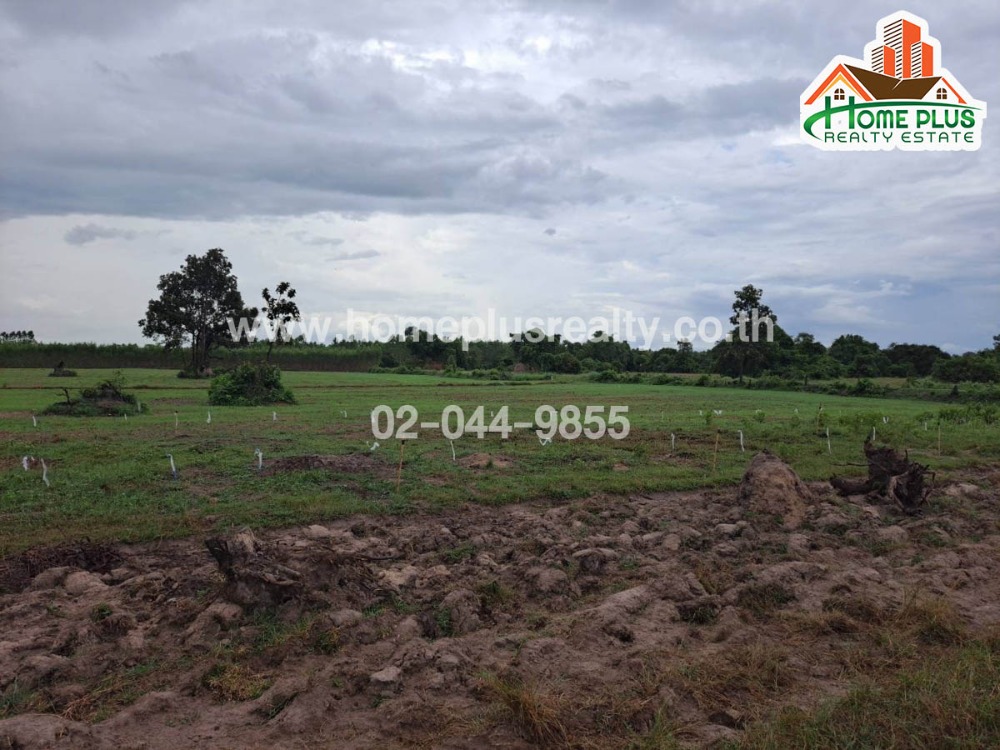 For SaleLandPrachin Buri : Land near Wat Hua Wa Samakkhi, Prachin Buri, area 15 rai 2 ngan 84 square wa.