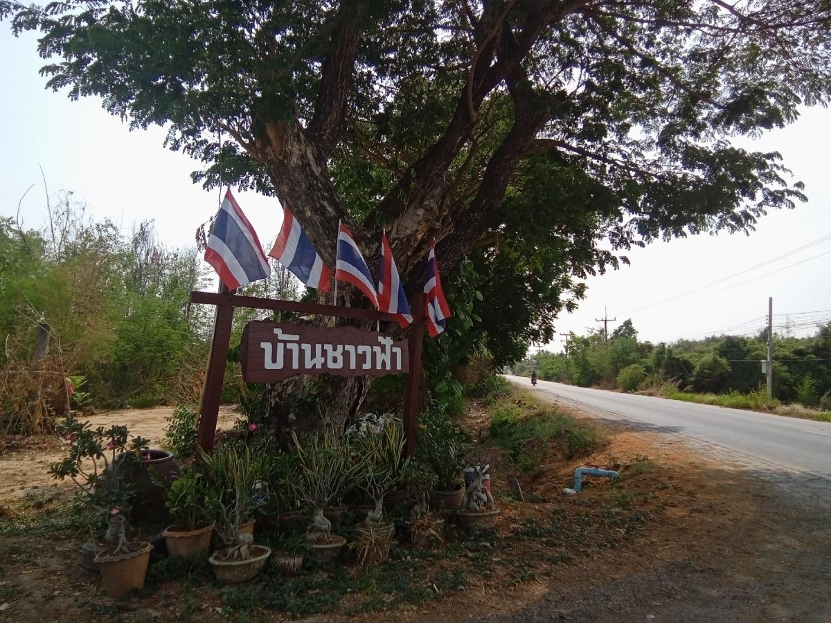 For SaleLandPhitsanulok : Vacant land, Phitsanulok