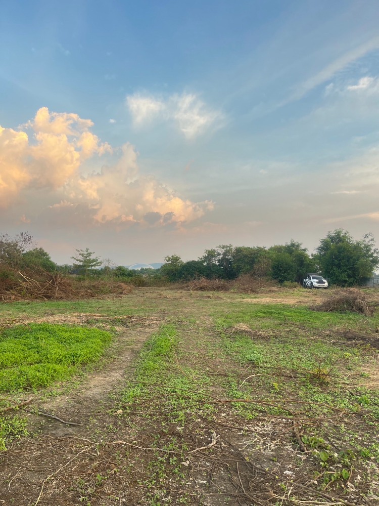 ขายที่ดินสระบุรี : ขายที่ดิน สระบุรี ติดถนนมิตรภาพ ถมแล้ว ทำเลดี ใกล้น้ำตกสามหลั่น