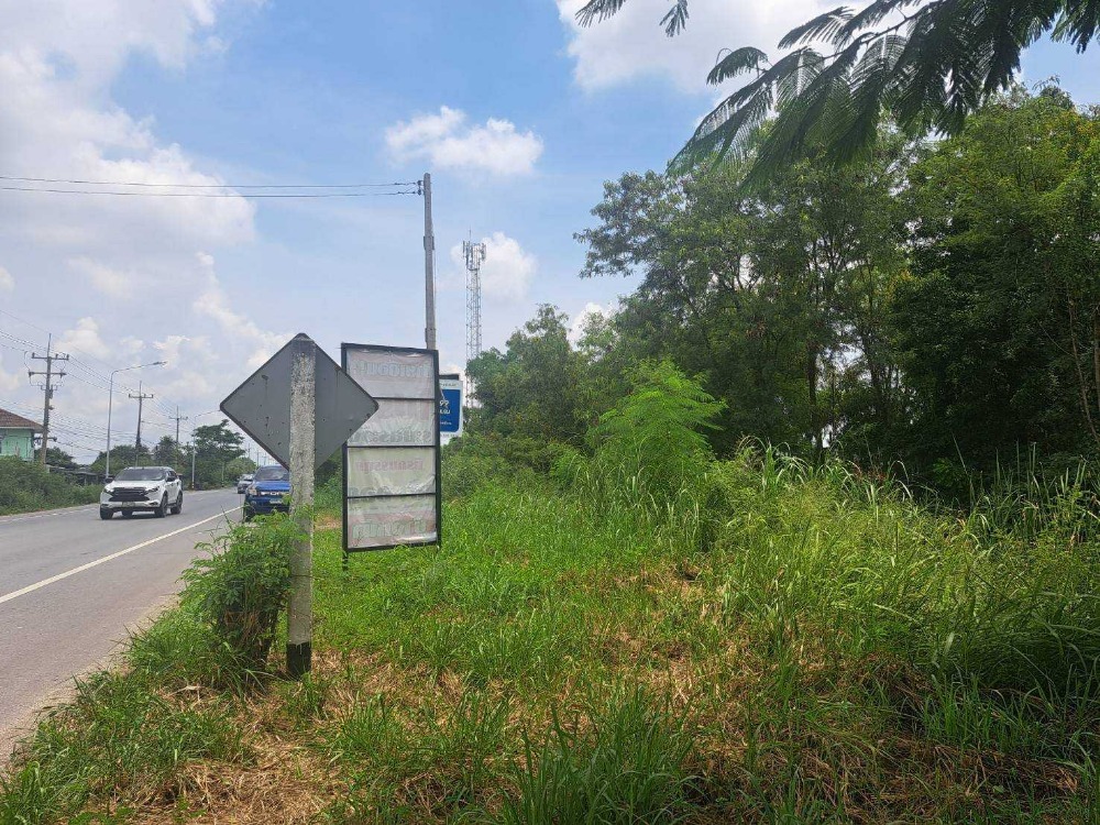 For SaleLandPattaya, Bangsaen, Chonburi : Land for sale, Na Pradu Subdistrict, Phan Thong District, Chonburi Province