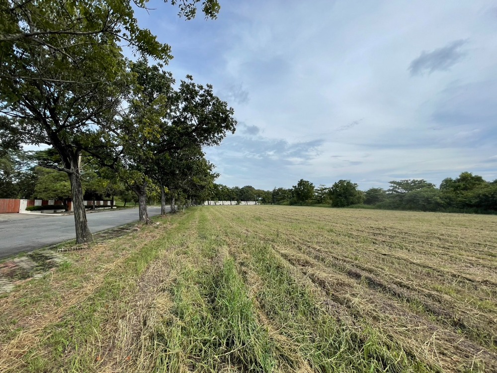 For SaleLandSamut Prakan,Samrong : Beautiful land plot, already filled, size 1 rai, plus a house plan worth 7 hundred thousand baht, there is a project to cut grass every month, no flooding, only 15 minutes from Suvarnabhumi Airport