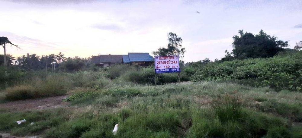 For SaleLandSamut Songkhram : Land for sale, area 150 sq.w., Soi Nattawai, Phatthana 1, Samut Songkhram