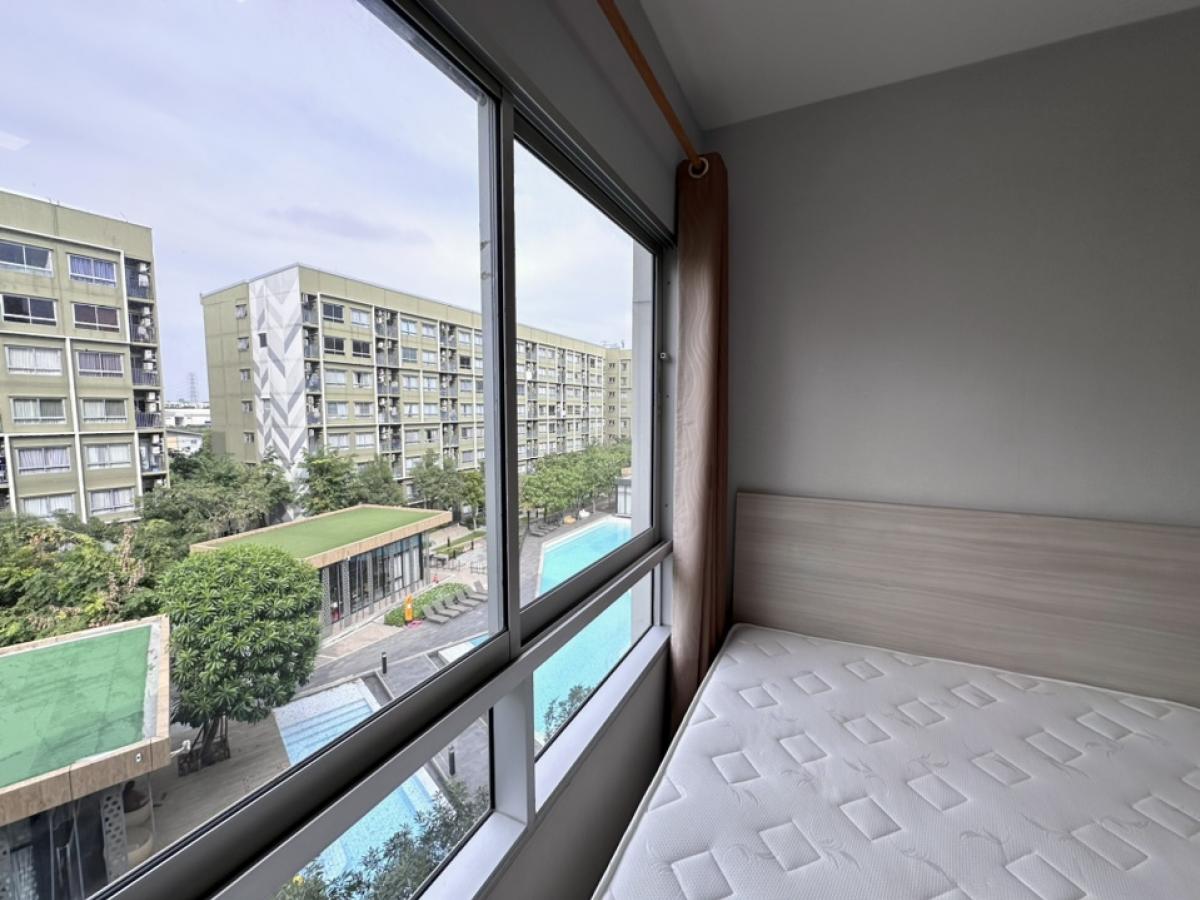 For RentCondoPathum Thani,Rangsit, Thammasat : Plum Rangsit Alive 1 available for rent, pool view, many rooms in the project 🔥🔥 Add Line @rentcondo 🔥🔥