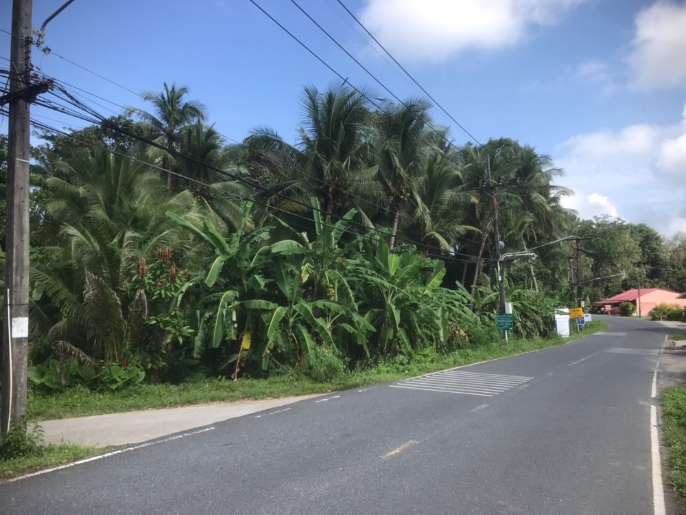 For RentLandPhuket : Vacant land, Phuket, 5 rai 12 3/10 square wa (approximately 1.97 acres)