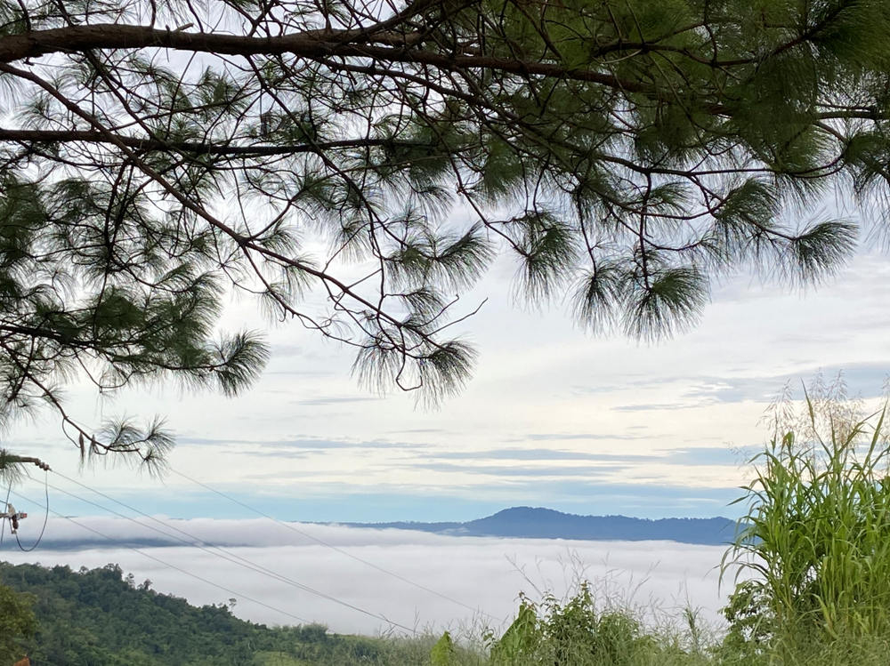 For SaleLandPhetchabun : For inquiries, call: 064-307-7442 Land for sale in Khao Kho, Phetchabun, 12 rai 8 square wa, 360-degree mountain view, good location, camping zone, tent site, near the Khao Kho sea of ​​mist viewpoint.