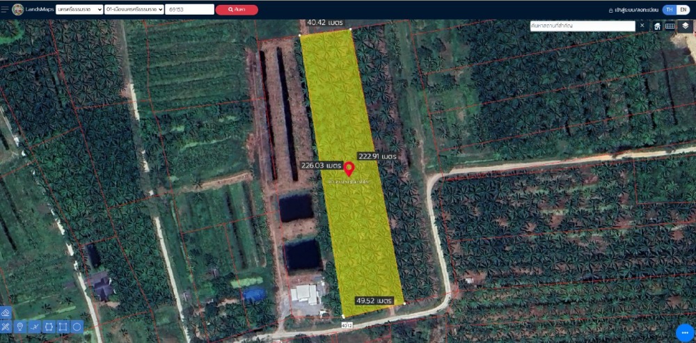 For SaleLandNakhon Si Thammarat : For sale: 6 rai 14.3 square wa oil palm plantation, Tha Ruea Subdistrict, Mueang Nakhon Si Thammarat District, Nakhon Si Thammarat Province