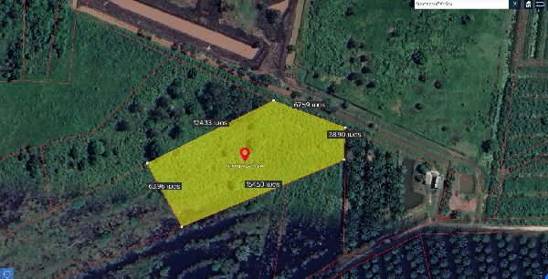 For SaleLandNakhon Si Thammarat : Land for sale in Nakhon Si Thammarat, Phra Phrom District, Chang Sai Subdistrict, 6 rai, 2 ngan, 14 square wa, suitable for agriculture.