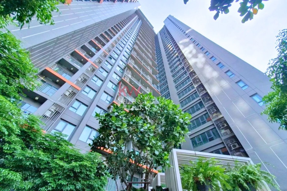 ให้เช่าคอนโดสุขุมวิท อโศก ทองหล่อ : ให้เช่า C Ekkamai Condominium ราคา 17,000 บ. ขนาด 35 ตารางเมตร ชั้น 6 ห้อง 1 ห้องนอน 1 ห้องน้ำ วิว เมือง