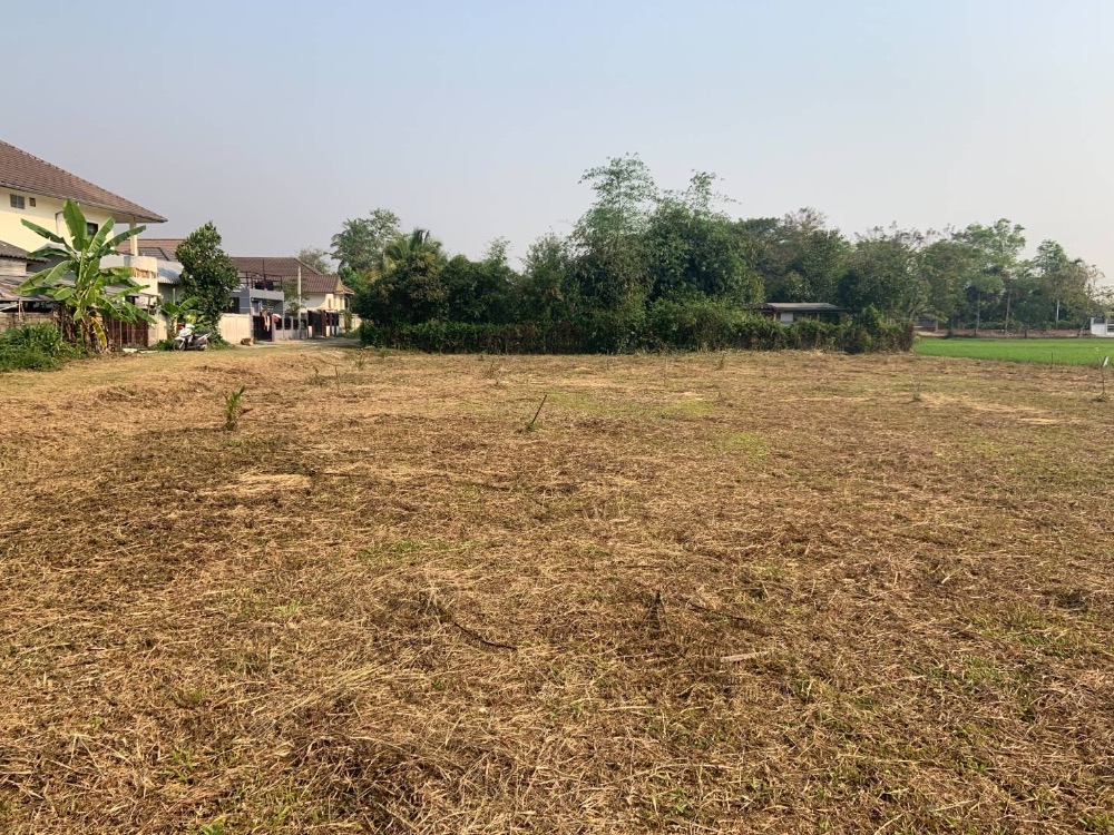 For SaleLandChiang Rai : Land for sale in a prime location, San Sai Subdistrict, Chiang Rai Province, near the Eastern Bypass