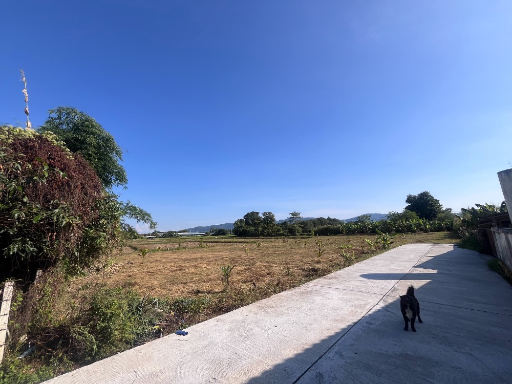 For SaleLandChiang Rai : Land for sale in a prime location, San Sai Subdistrict, Chiang Rai Province, near the Eastern Bypass