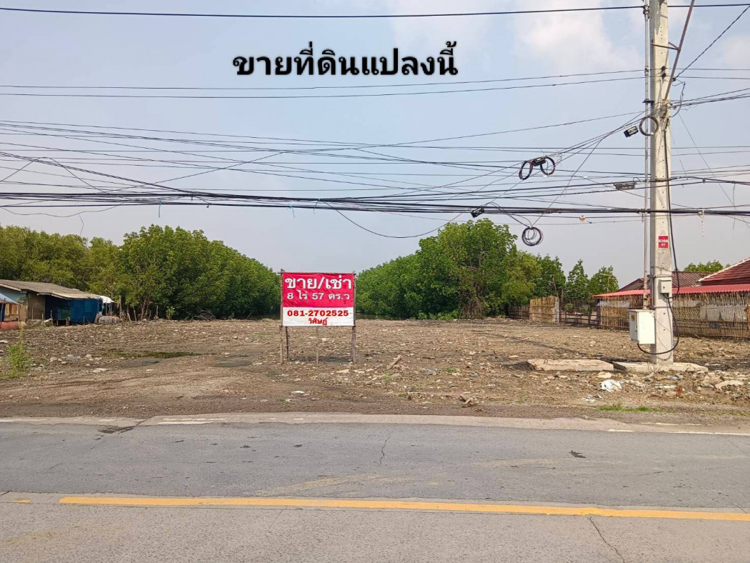 ขายที่ดินพระราม 2 บางขุนเทียน : ขายที่ดินเนื้อที่ 8-0-57 ไร่ ซ.เทียนทะเล 25 เหมาะสร้างโรงงานหรือโกดังสินค้า