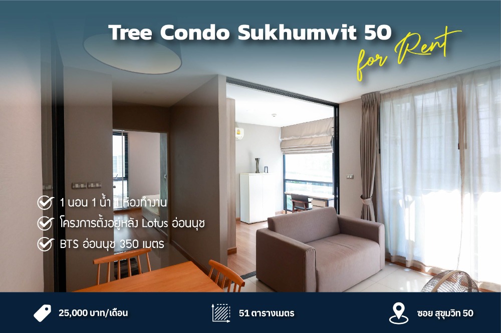 ให้เช่าคอนโดสุขุมวิท อโศก ทองหล่อ : ให้เช่า คอนโด Tree Condo สุขุมวิท 50 ใกล้ BTS อ่อนนุช ชั้น 2 ห้องมุม เฟอร์นิเจอร์ครบ