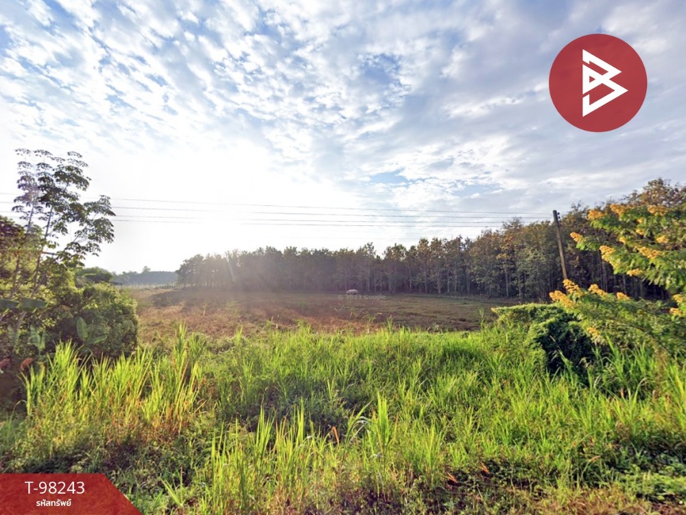 For SaleLandChiang Rai : Land for sale, area 24 rai 66.6 square wa, Chiang Khong, Chiang Rai