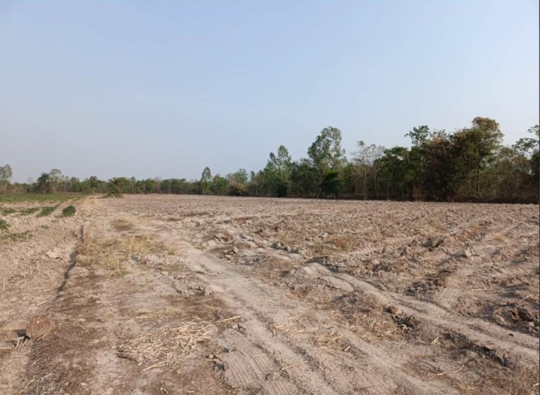 For SaleLandPrachin Buri : Land for sale, Prachin Buri, Kabin Buri, size 70 rai, 2 ngan, 60 sq w, near Asia Road