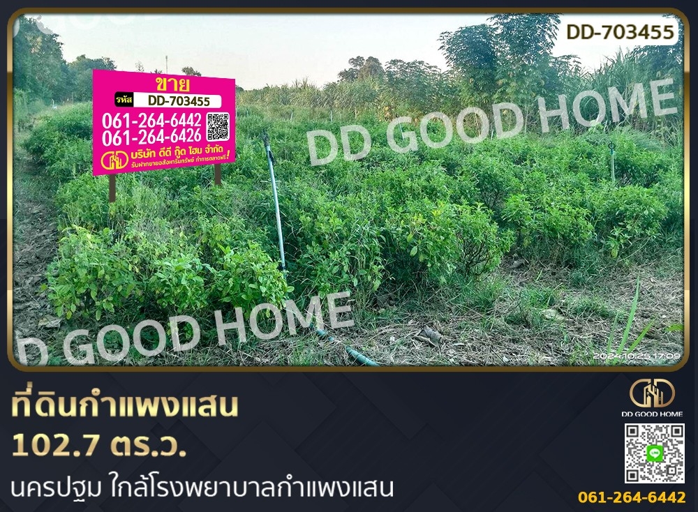 ขายที่ดินนครปฐม : ที่ดินกำแพงแสน 102.7 ตร.ว. นครปฐม ใกล้โรงพยาบาลกำแพงแสน