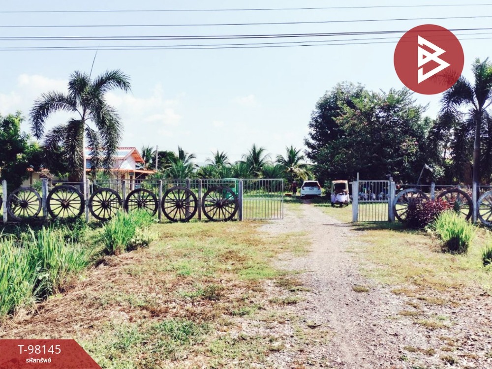 For SaleLandPhitsanulok : Urgent sale, vacant land, area 6 rai 3 ngan 72.9 sq.wa, Wang Thong, Phitsanulok