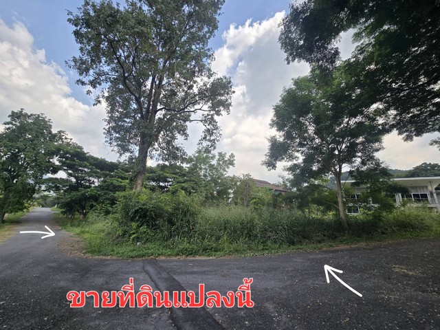 For SaleLandPak Chong KhaoYai : Land for sale 289.9 sq.w., Phu Phatra Village, Pak Chong, Khao Yai, corner plot, good location, on 2 roads