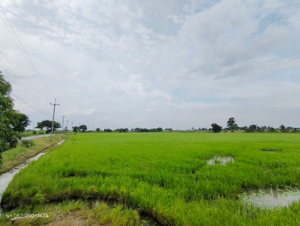 For SaleLandLop Buri : Land for sale, 17 rai, with vacation home