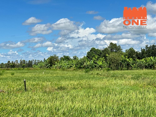 For SaleLandPhitsanulok : Land for sale, 50 sq.w., next to Phitsanulok University, Samo Khae Subdistrict, Mueang Phitsanulok District, only 380,000 baht.