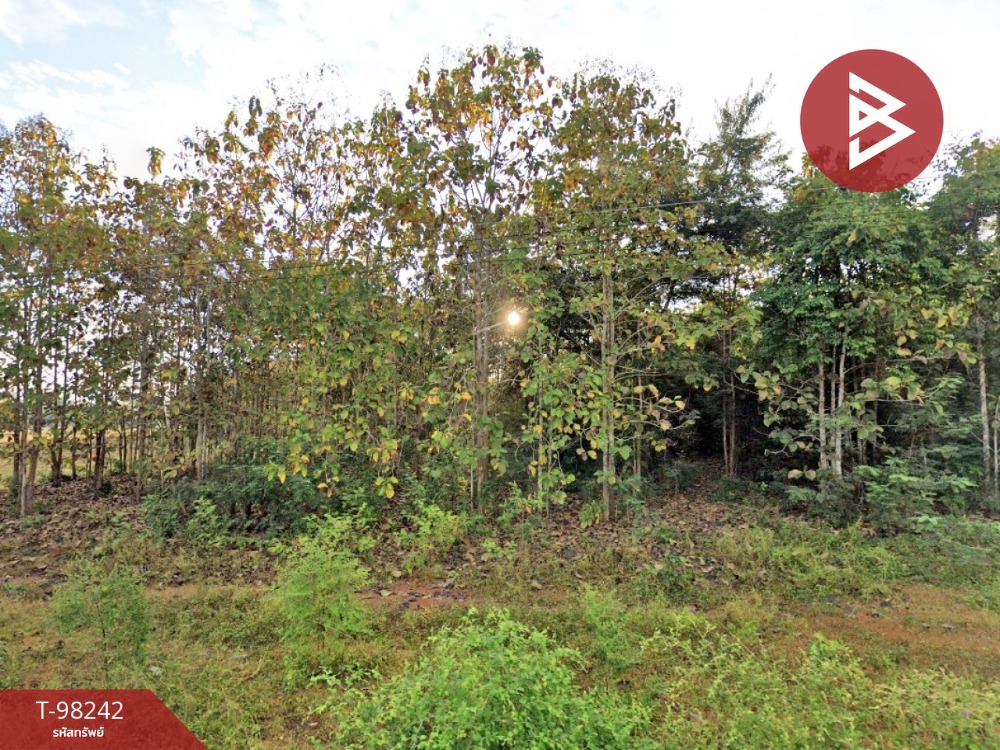 For SaleLandChiang Rai : Land for sale, area 17 rai 2 ngan 65.6 square wa, Chiang Khong, Chiang Rai